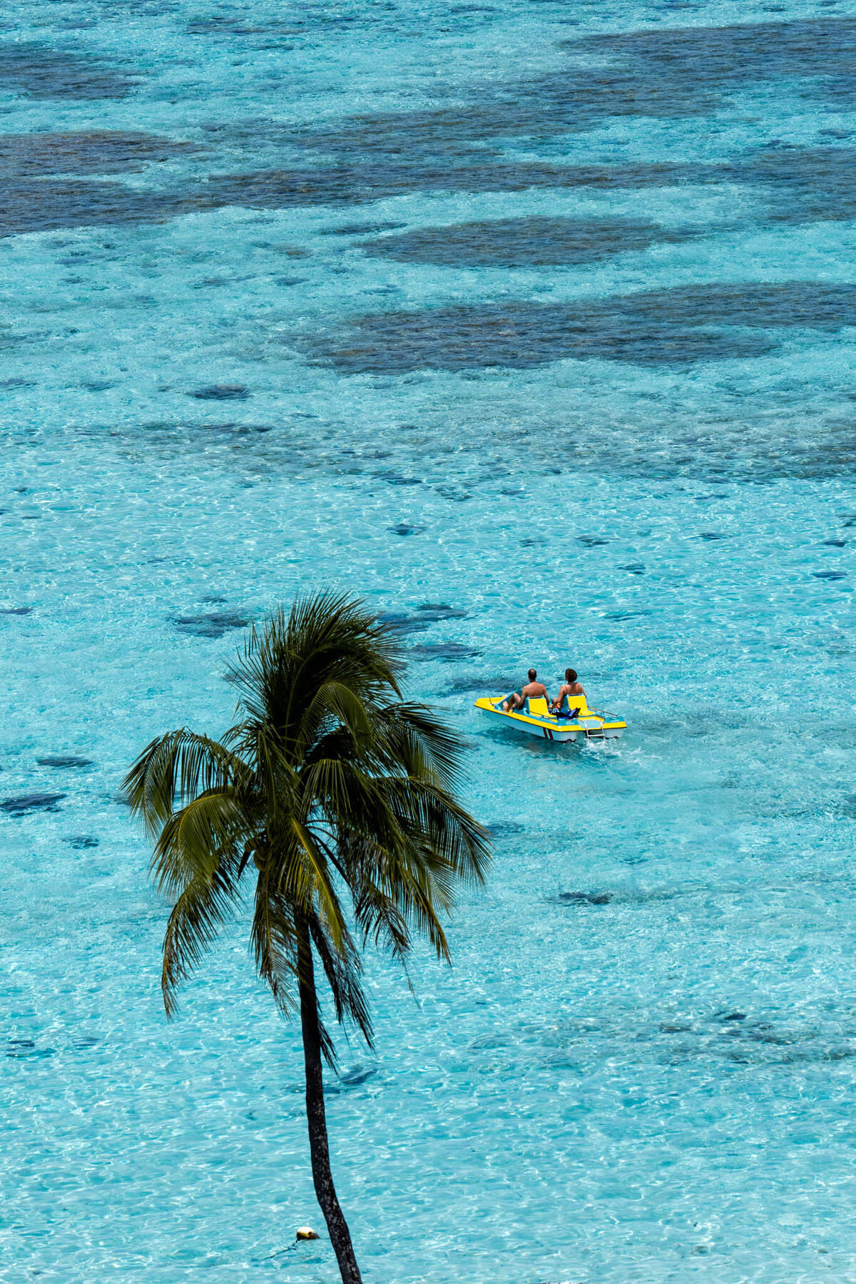 SM-WarmTropics-02875