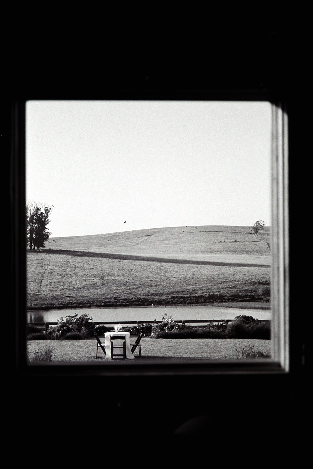 SCP_ilford_cali-11