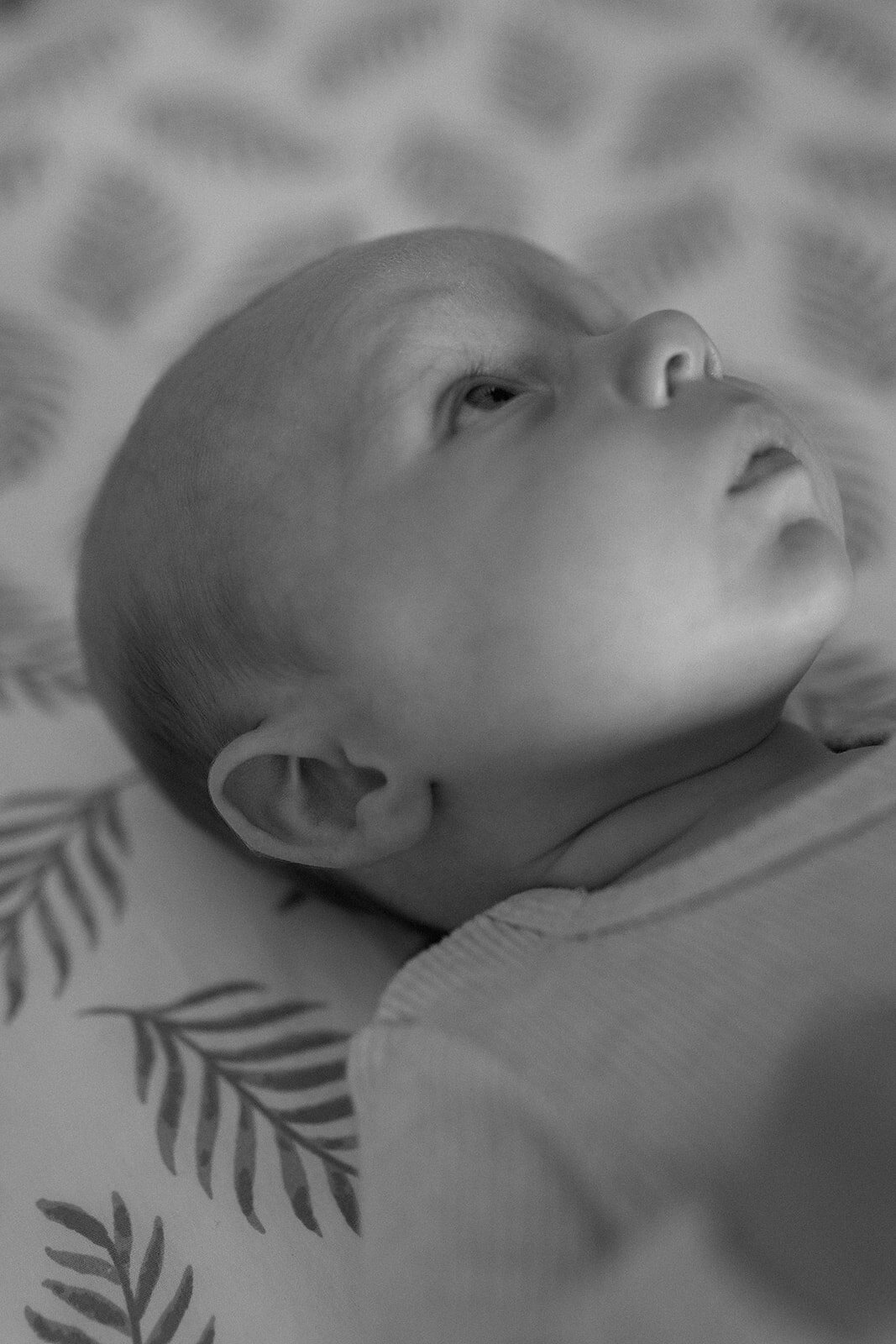 Calgary newborn photographer Laura Karl 7