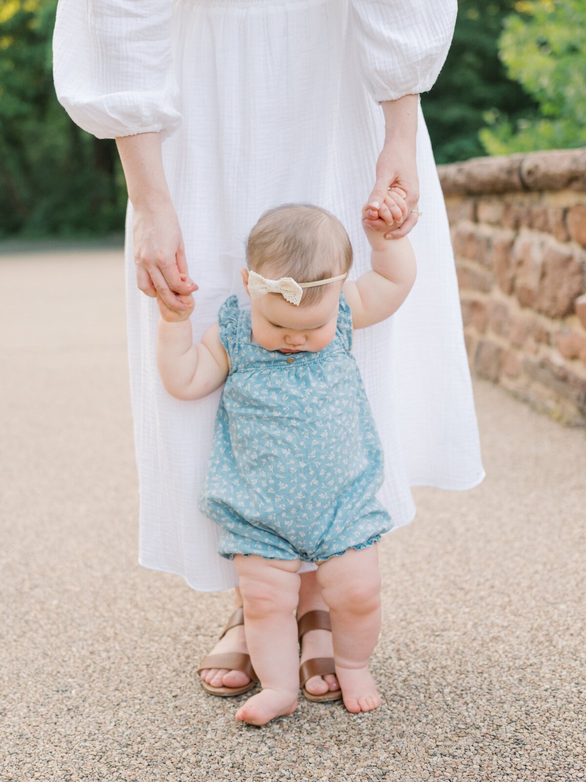 leesburg family photographer