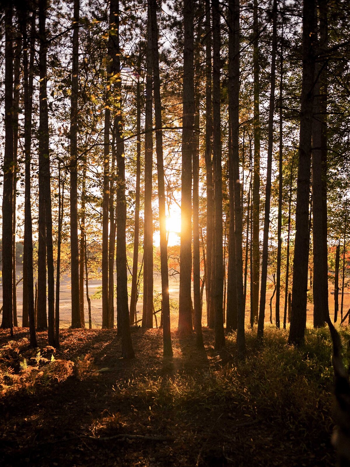 Chatwal Lodge Wedding-32