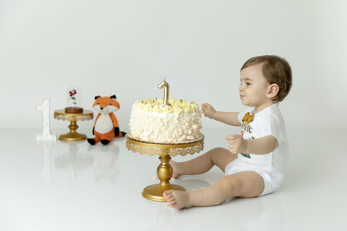 A toddler boy eyes up his first birthday cake before smashing it in a studio