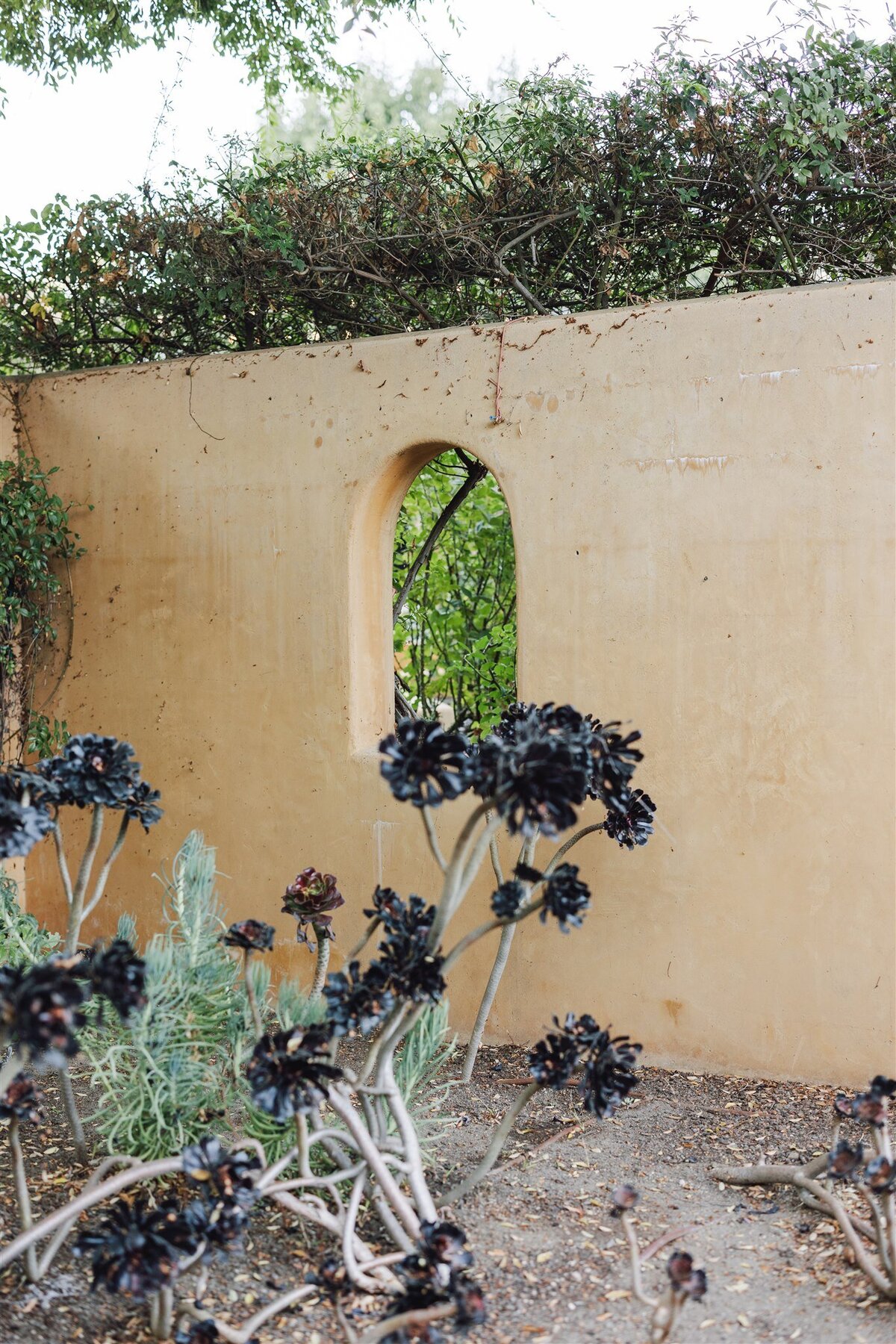 bernardus-lodge-spa-carmel-valley-wedding-gianna-ajax-ashley-carlascio-photography-0155