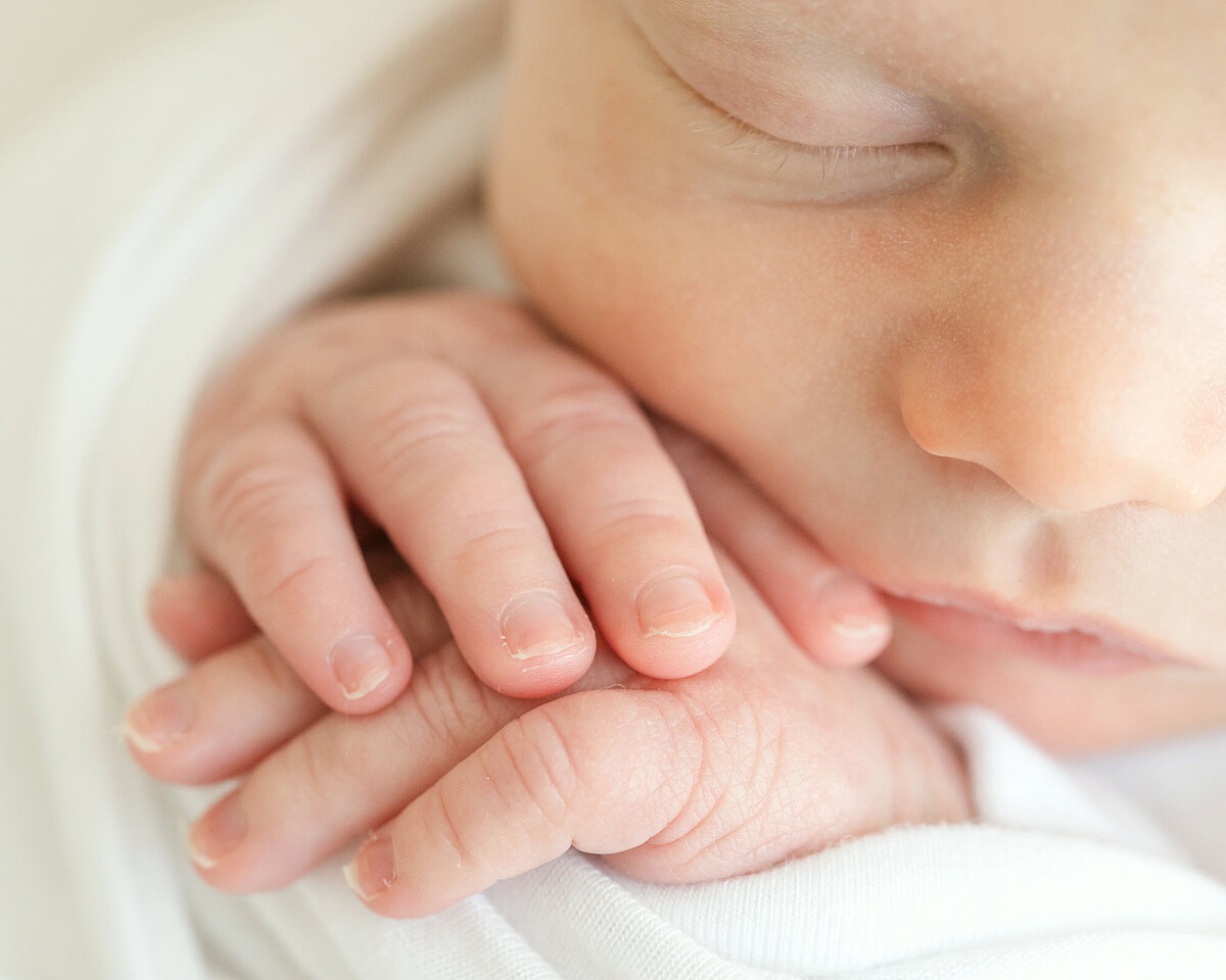 Louisville family photographer Julie Brock takes up close photo of newborn baby hands