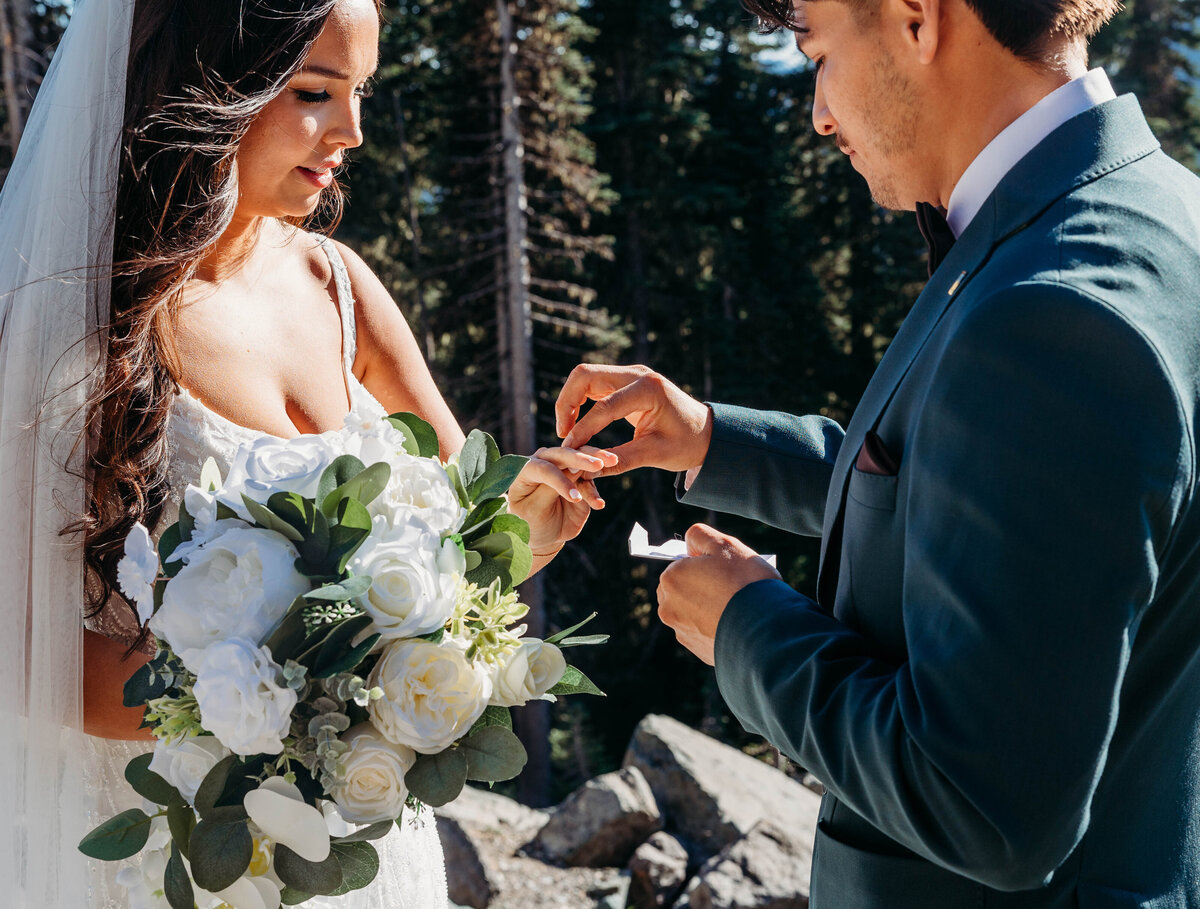 Mount Rainier, Washington Elopement-8381