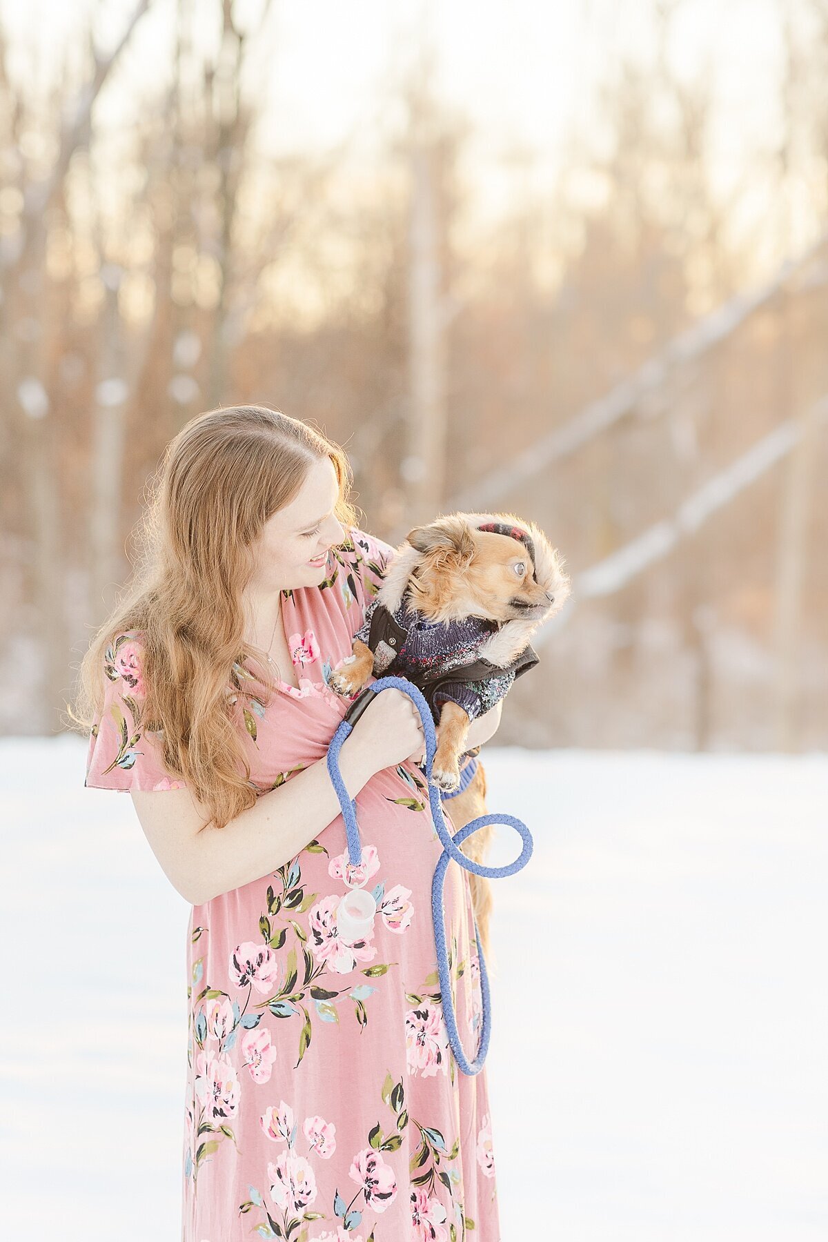 mom holds dog during snowy winter maternity photo session with Sara Sniderman Photography in Medfield Massachusetts