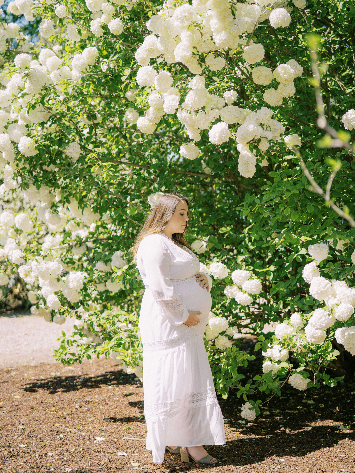 10 Dallas Arboretum Maternity Family Session Kate Panza Photography Kim and Nic