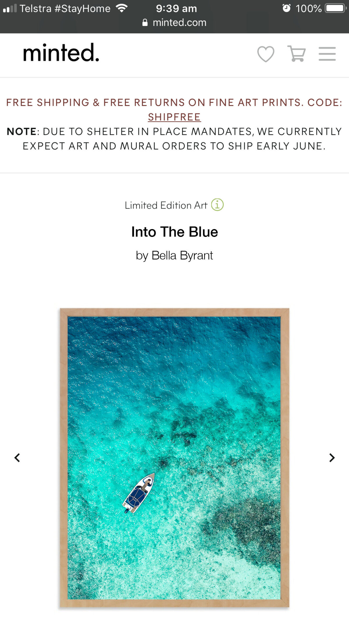 fake_shop_Mobile_Ocean_Minted01