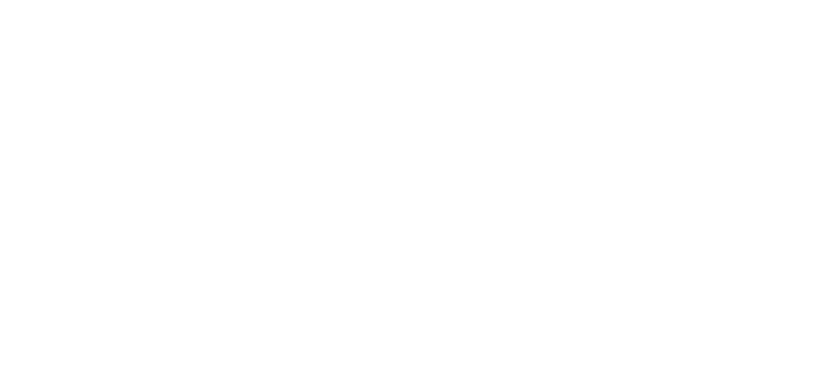 Lindsey Whetstone logo