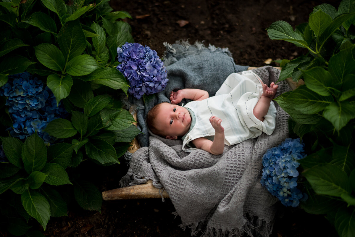 Boston-Family-Photographer-Bella-Wang-Photography-outdoor-newborn-session-3