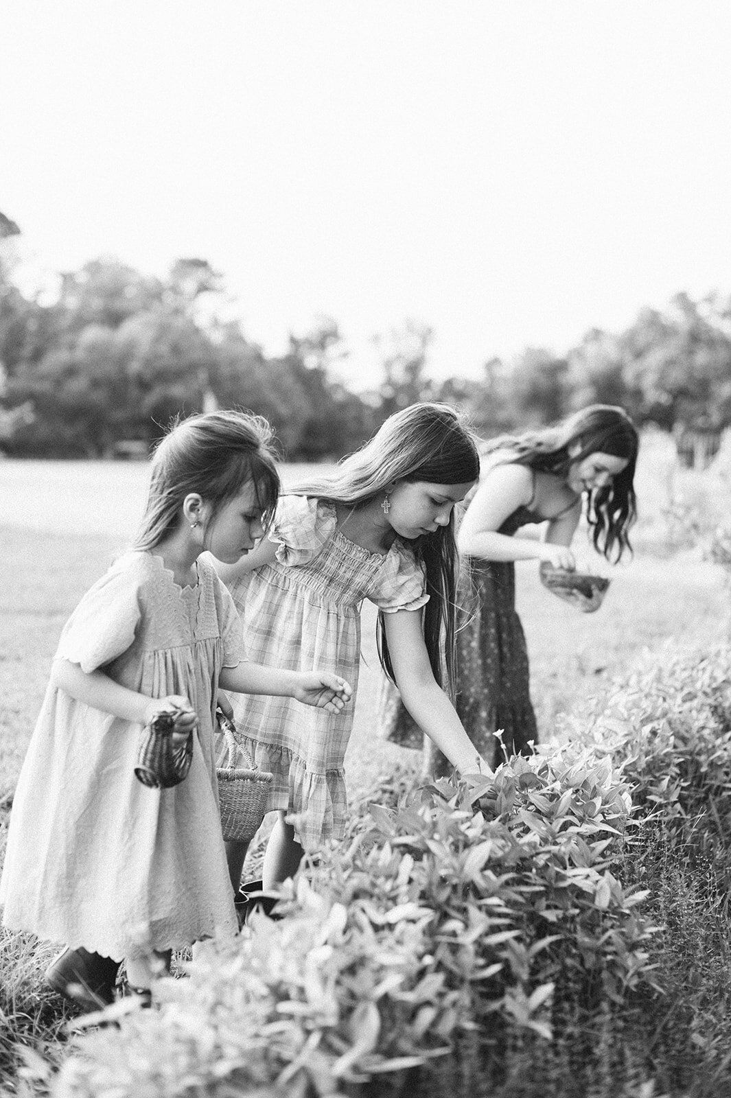 0013_mumford