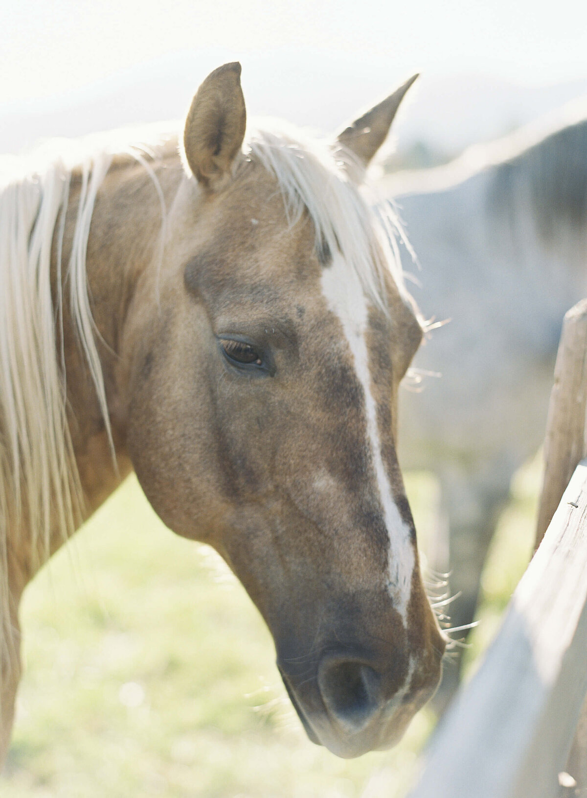 Lisa-Leanne-Photography_Utah-Wedding_River-Bottoms-Ranch_Destination-Wedding-Photographer_20