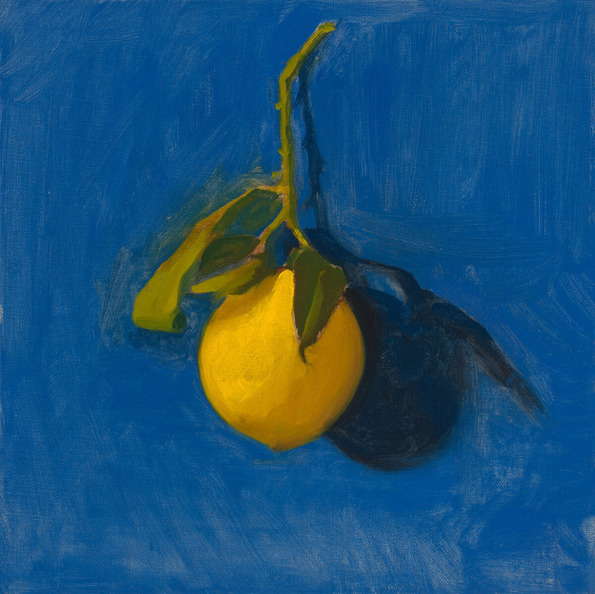 2023_Lemon on Cobalt_01_Clair Gaston