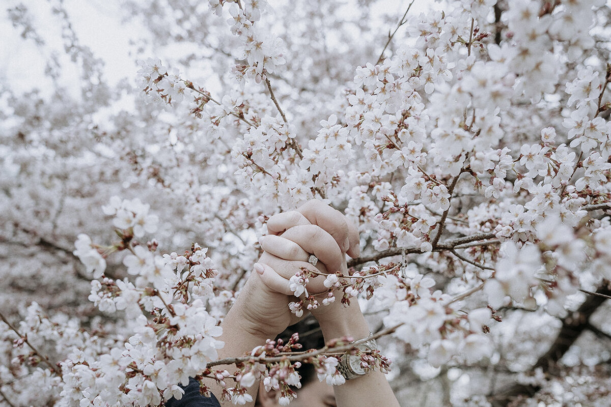 Mira Park Photography NY based wedding photographer Wedding proposal and engagement portrait in Central Park, NY