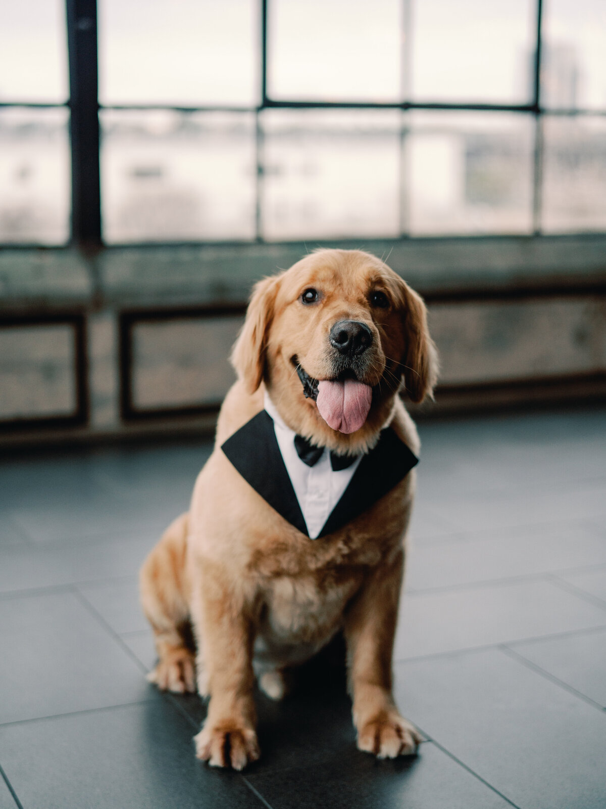 houston-wedding-photographer-15