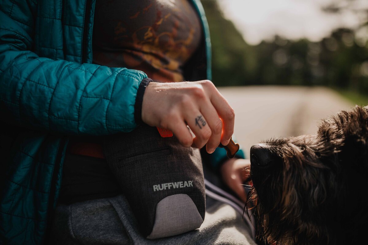 Ruffwear Dog Gear | Adventure Photographer