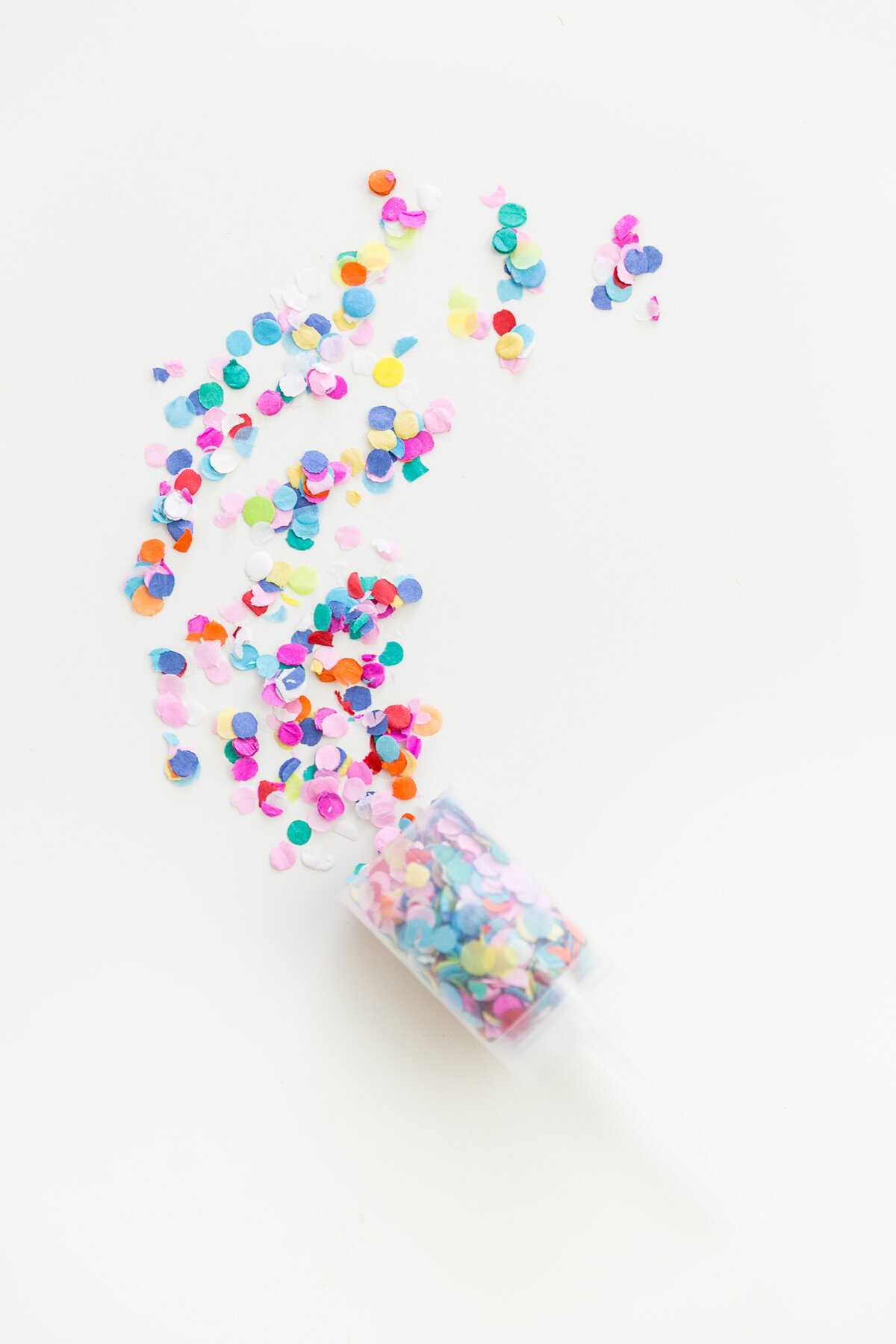 Chelsea P. stock images279