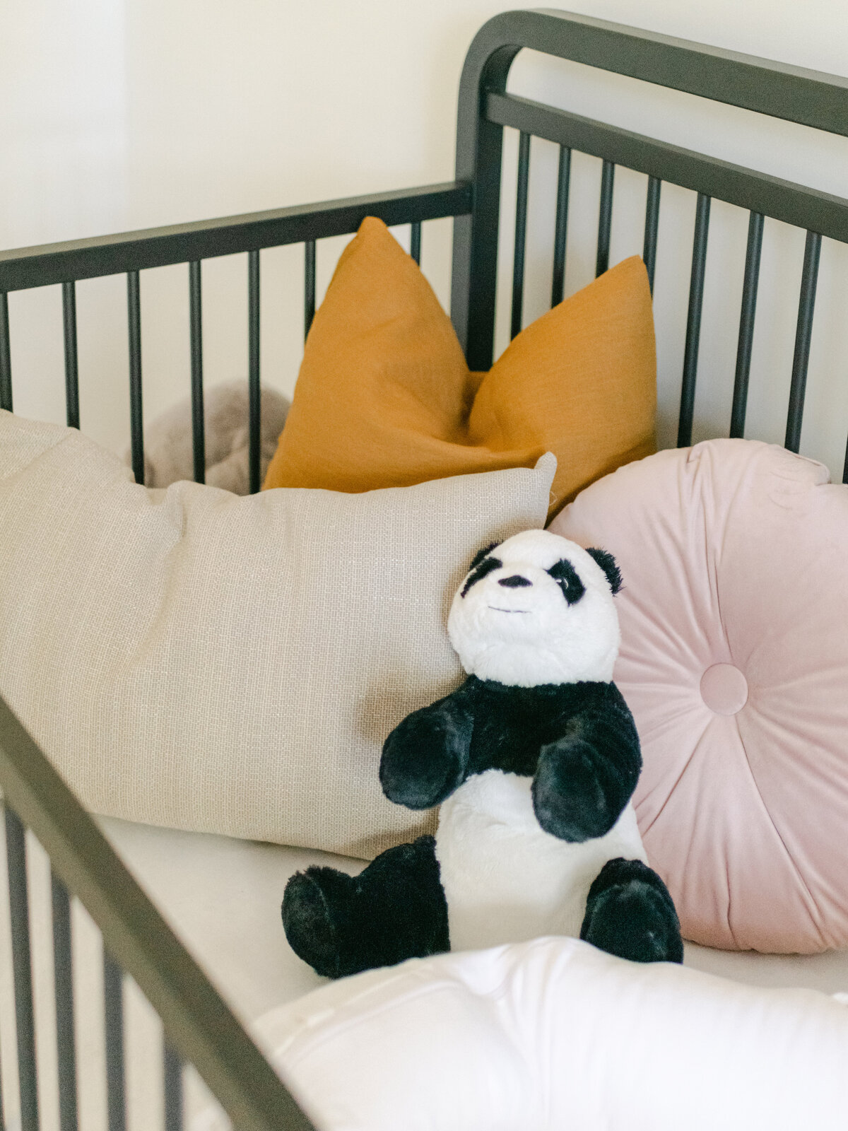 Photo of newborn girl nursery in Richmond Virginia.