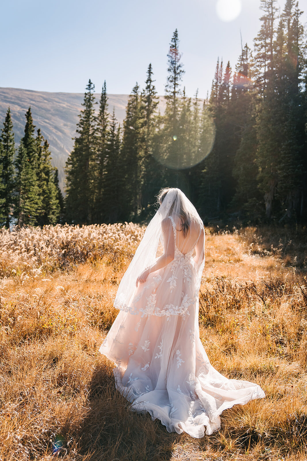 20241003-155858-Darian + Elliot_Abby-Shepard-Photography-Colorado-Wedding-Photographer-