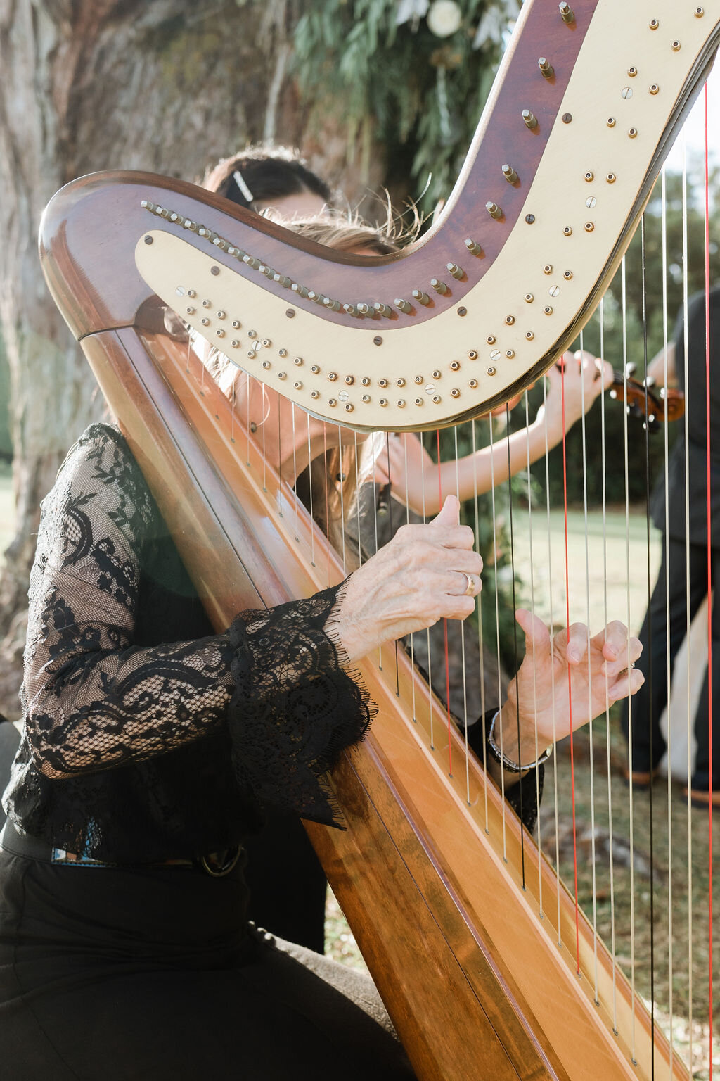 California Wedding Photographer 73