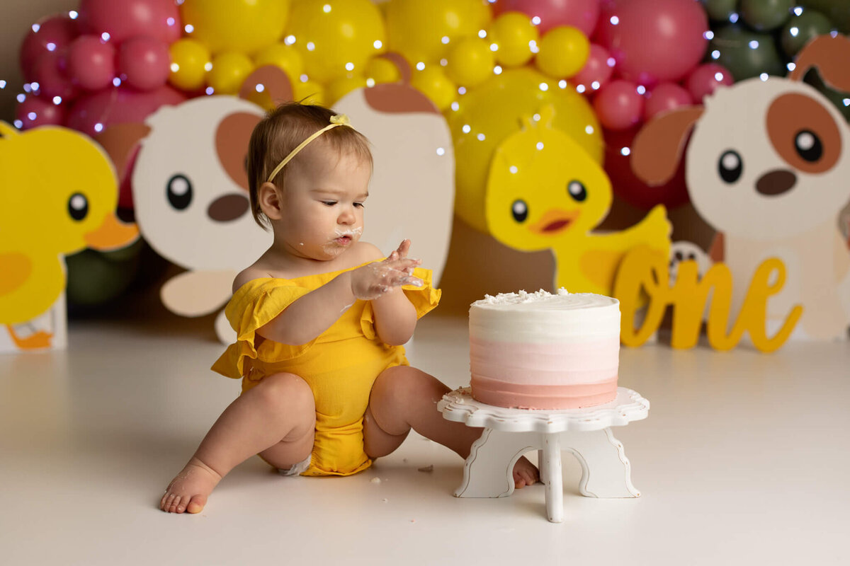 NW Arkansas cake smash photographer, cake smash photography near me, baby birthday photoshoot NW Arkansas