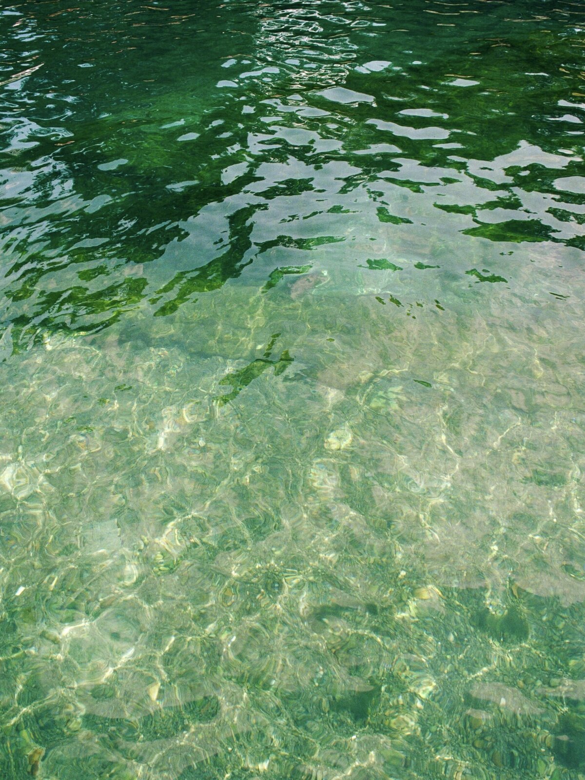 Blue and green reflections dancing on water in Carmel, captured with an emotional, candid eye by Kate Winters Photography.