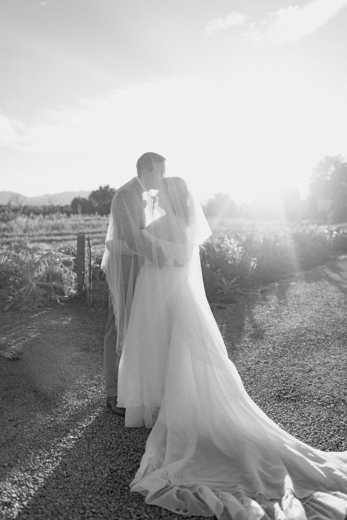 Ashley and Josh | Preview Gallery | Park Winters Wedding-68