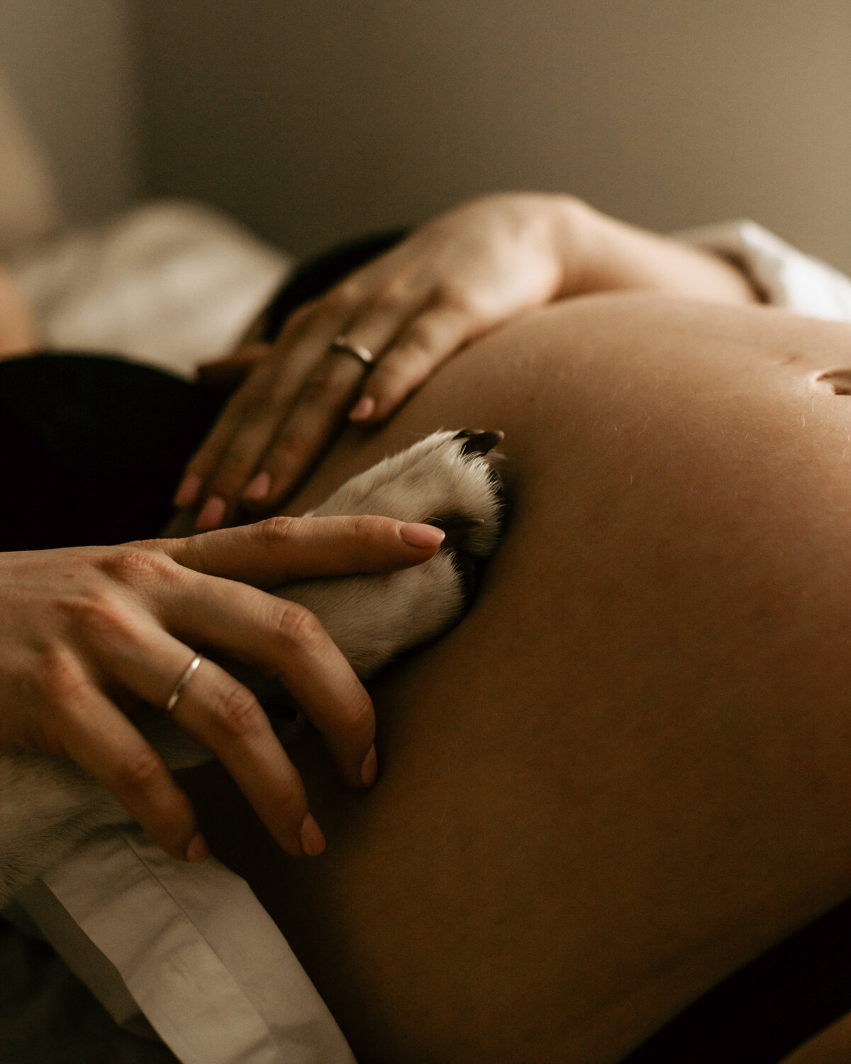 Shania Crivelli Photography-nat-7