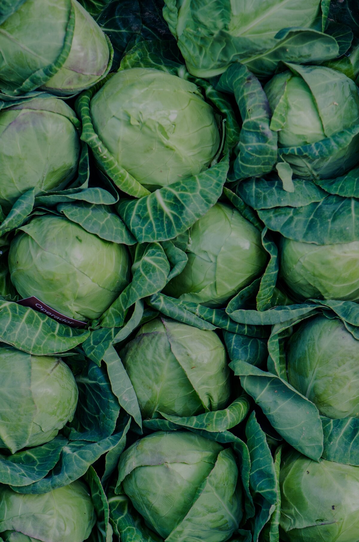 natasha-skov-ujh4hU9S-KA-unsplash