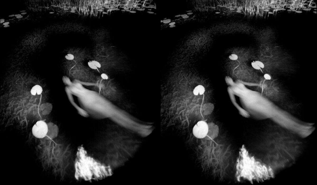 ST_Naiad