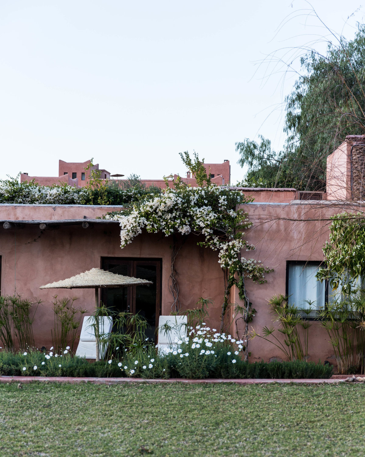 marrakech flower room