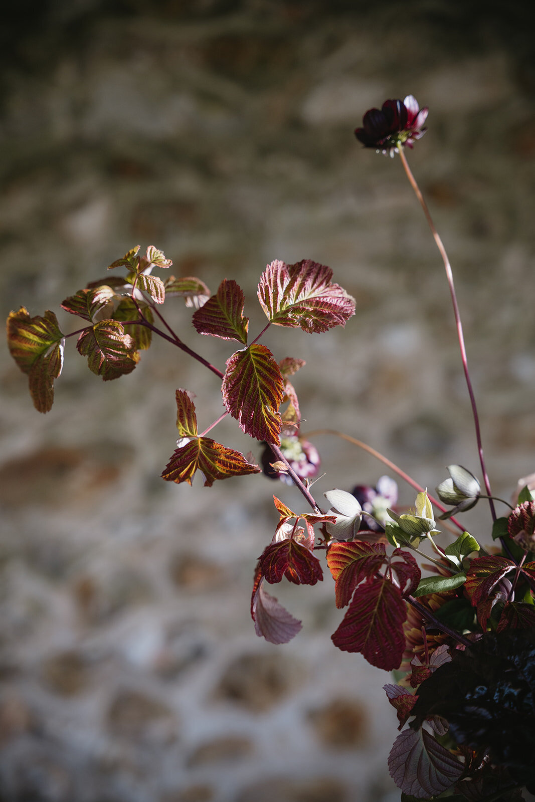 Wedding_Château _France_florist_trend _2025_maximalist_flowers_Capucineatelierfloral47