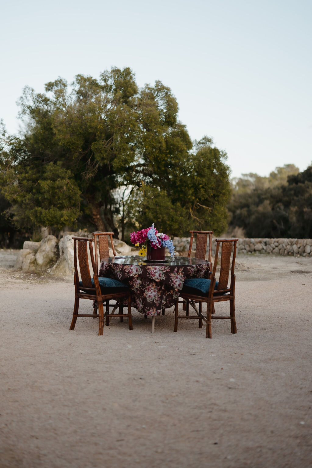 THE AWAKENING ° MIMI FIEDLER  ° THIRTYSEVEN