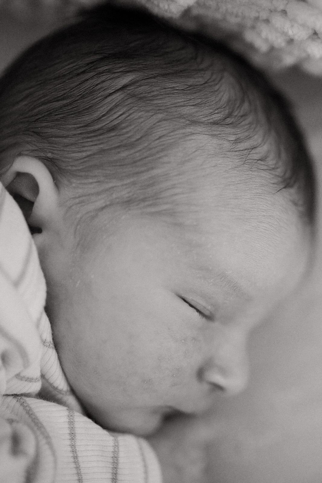 lifestyle newborn photographer norcal
