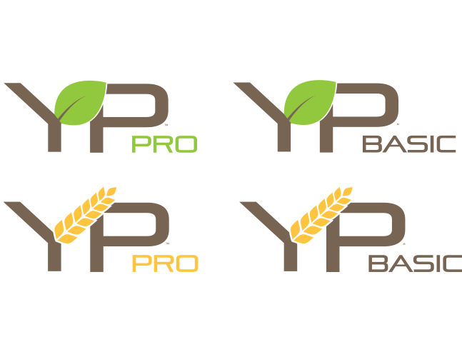YP
