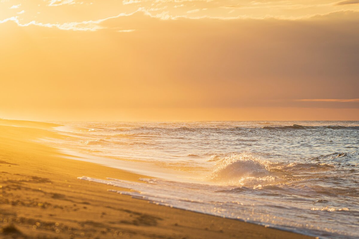 mier-chen-Z_Fc_evq_sQ-unsplash