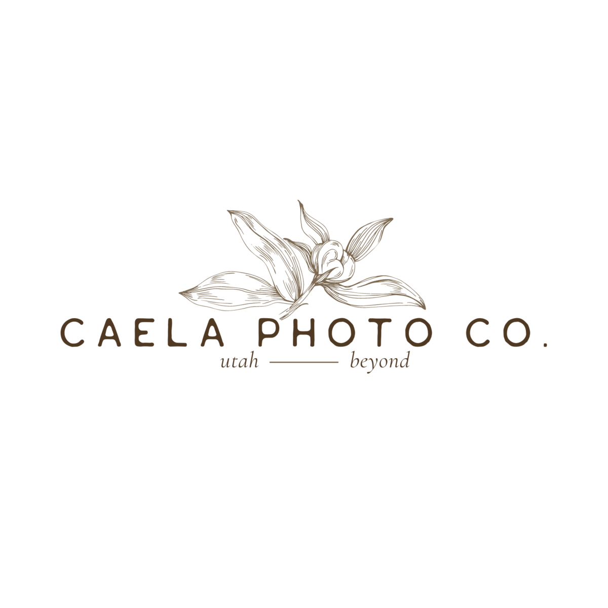 Caela is a destination wedding and elopement photographer based in Utah. She creates wedding photography that is emotive and timeless. If you're looking for an Utah Wedding Photographer, she's your girl!