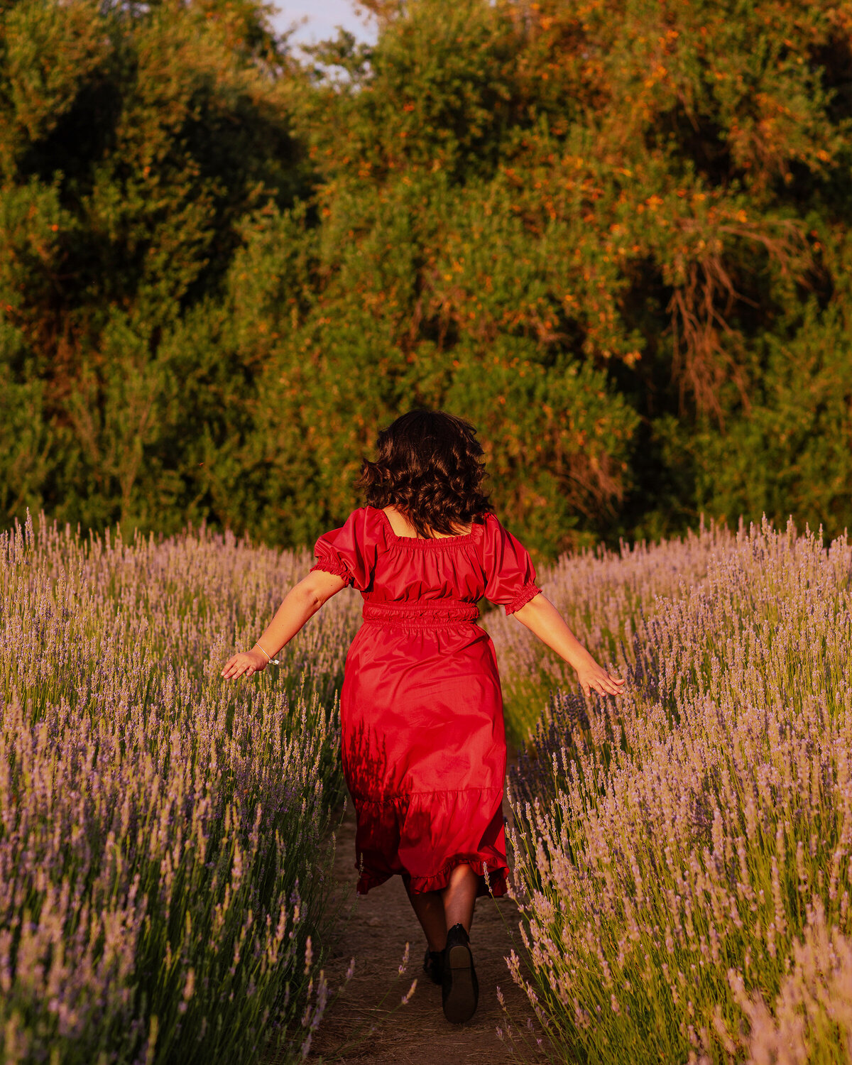 Lavender Run Diana (3)