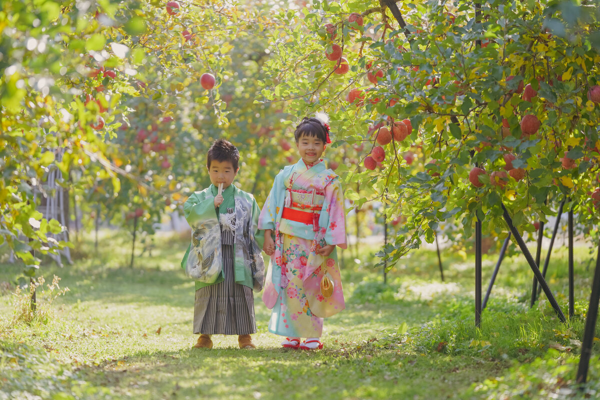 fukushima-koriyama—753-16