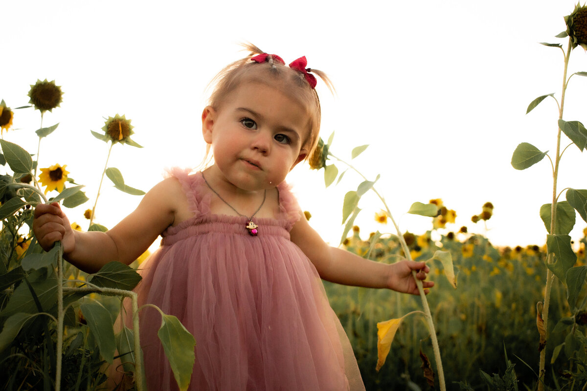 Indiana Family Photography _ Abby & Jonah Summer 23-024