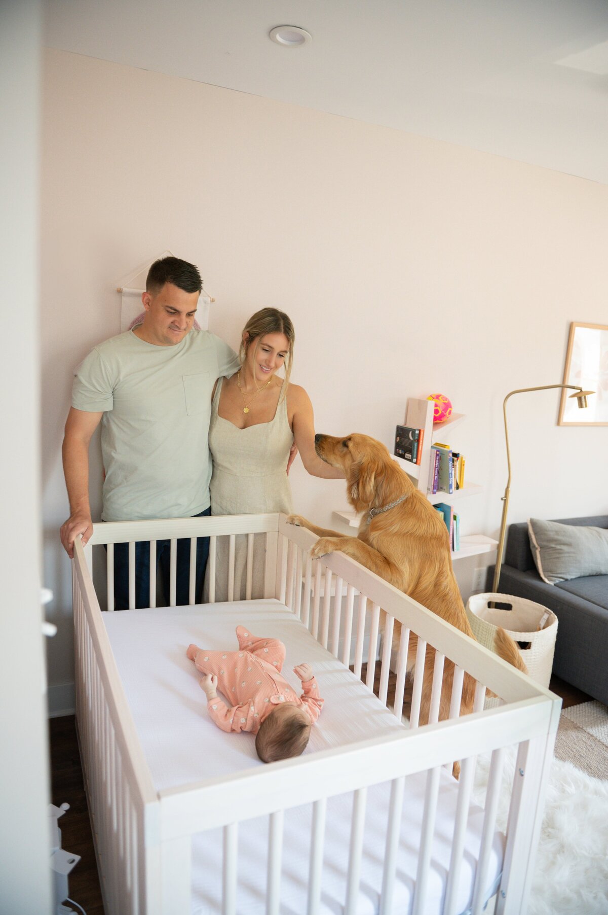 dog looking in crib at newborn