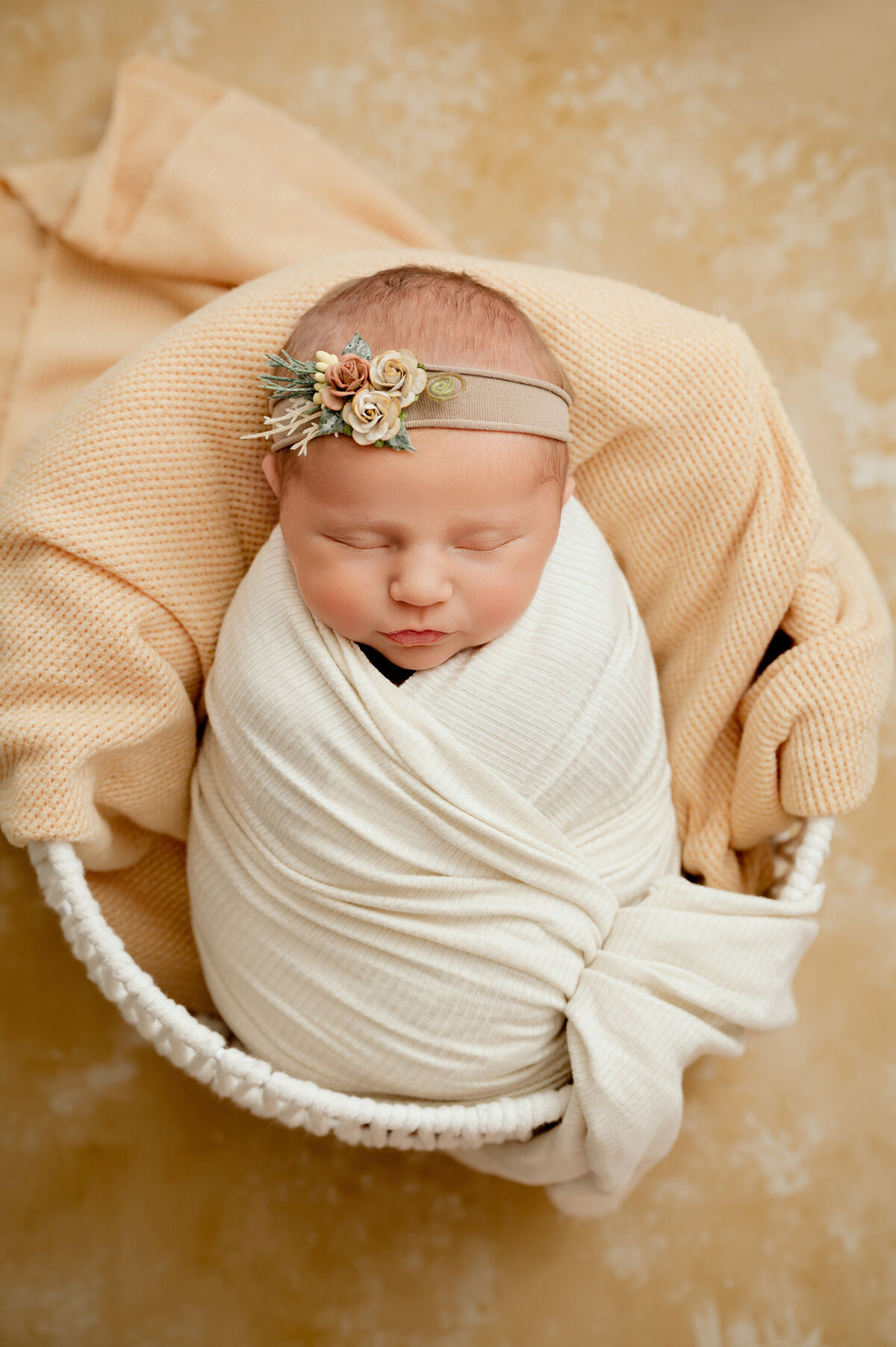 Central Minnesota Newborn Photographer -  Nicole Hollenkamp - Princeton MN St Cloud MN-4557