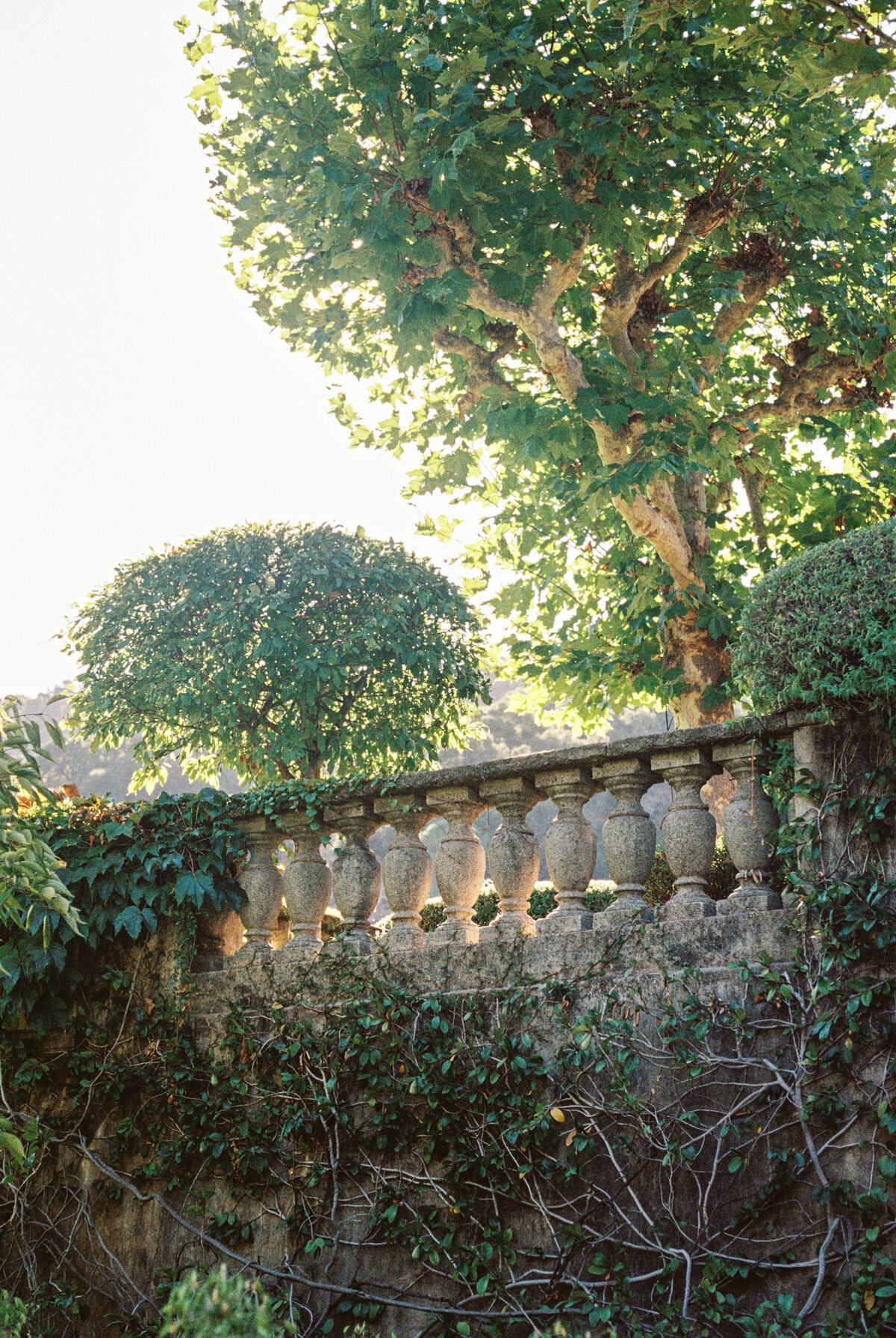 StonePine_Niki Rhodes Photo-906