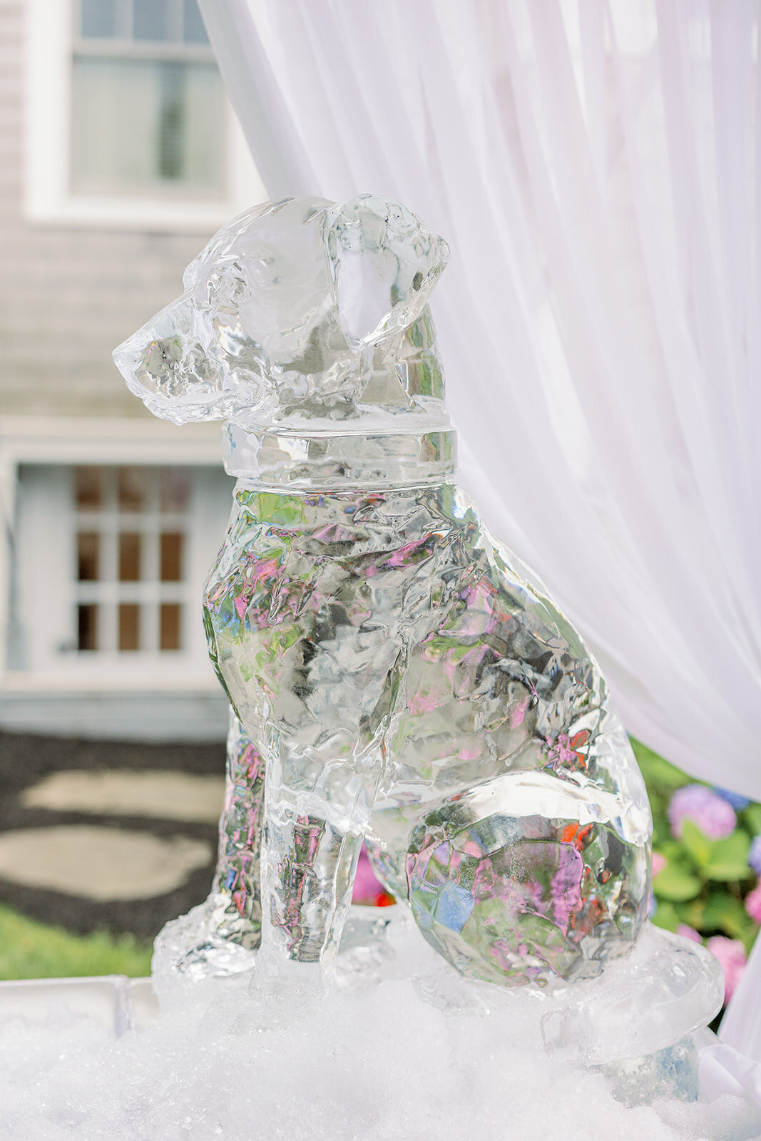 Dog Ice Sculpture at Wedding - Cru and Co
