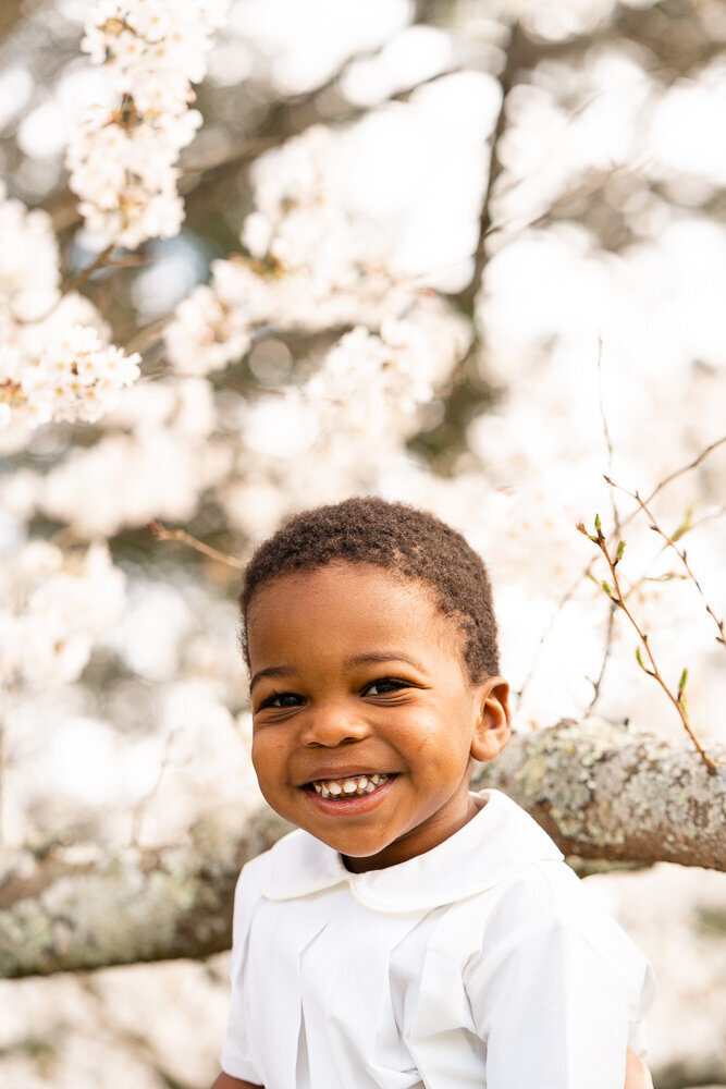 Photographer in Chattanooga, TN Kelley Hoagland takes bright and airy photos of boy posing in Cherry Blossom Tree.
