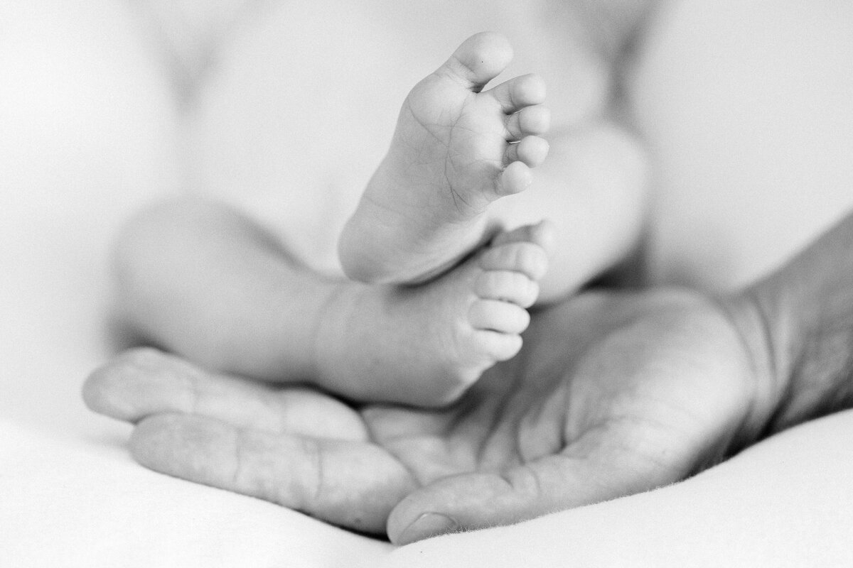 Lifestyle Photographer - Santa Cruz California - Carlie Statsky Photography - 33