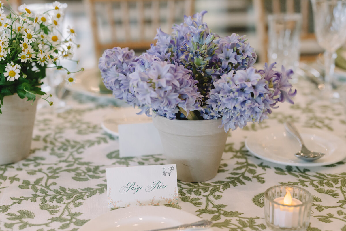 AnnaandSethWedding-936
