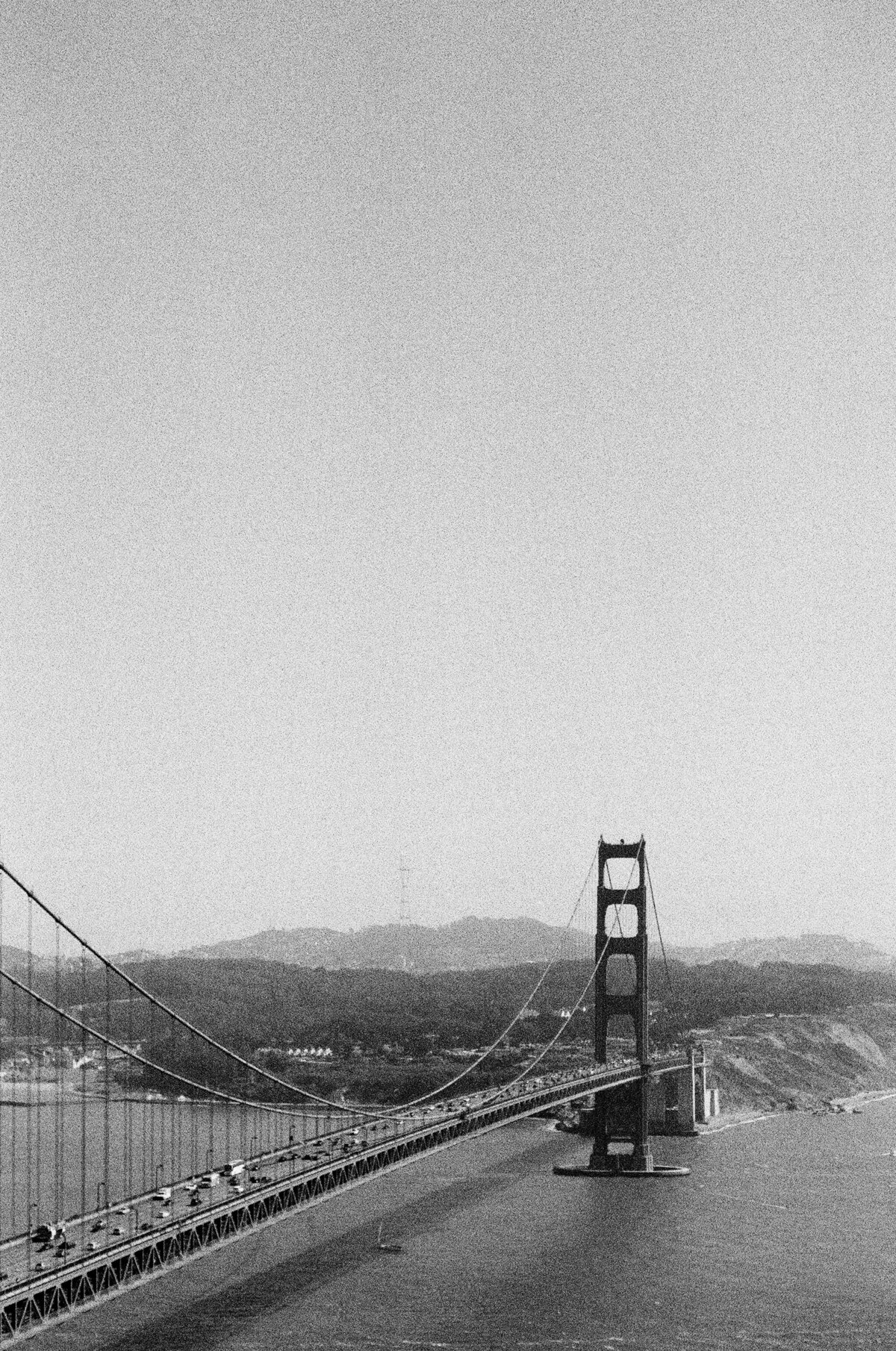 Bridging Horizons