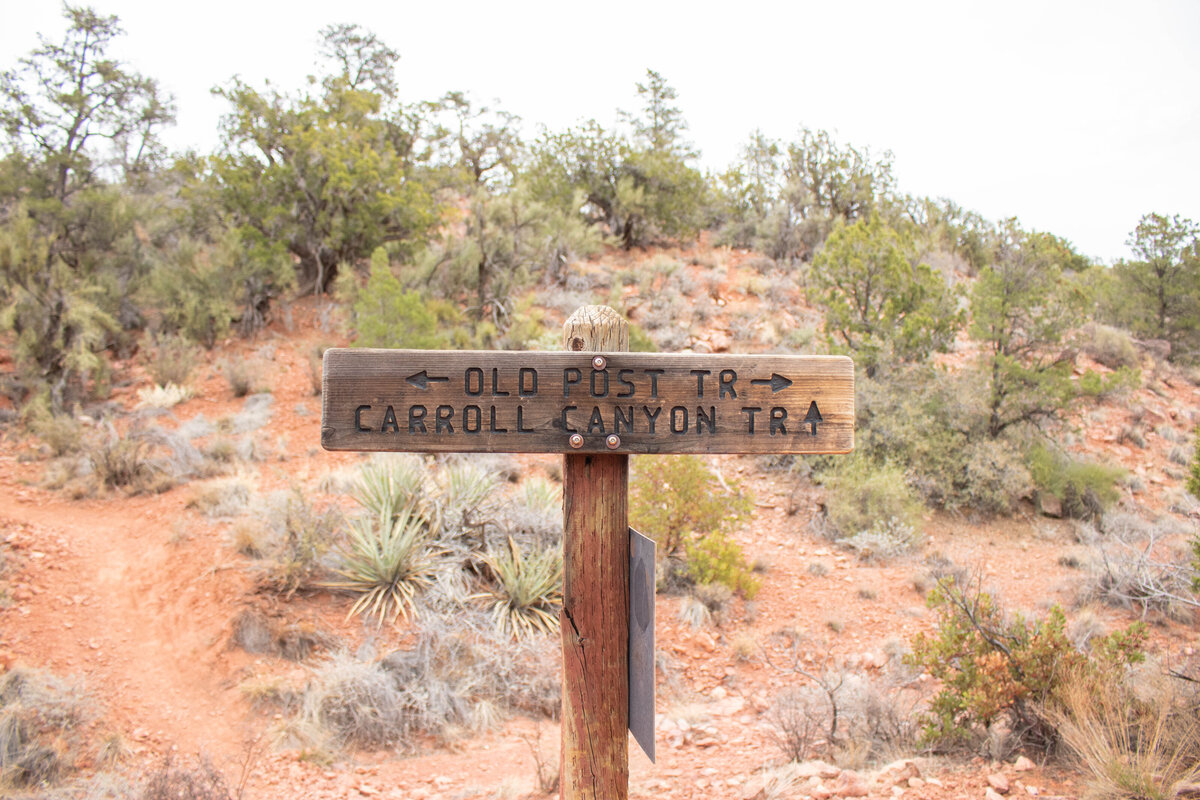 2021.03.23-27_SbE_Arizona_017