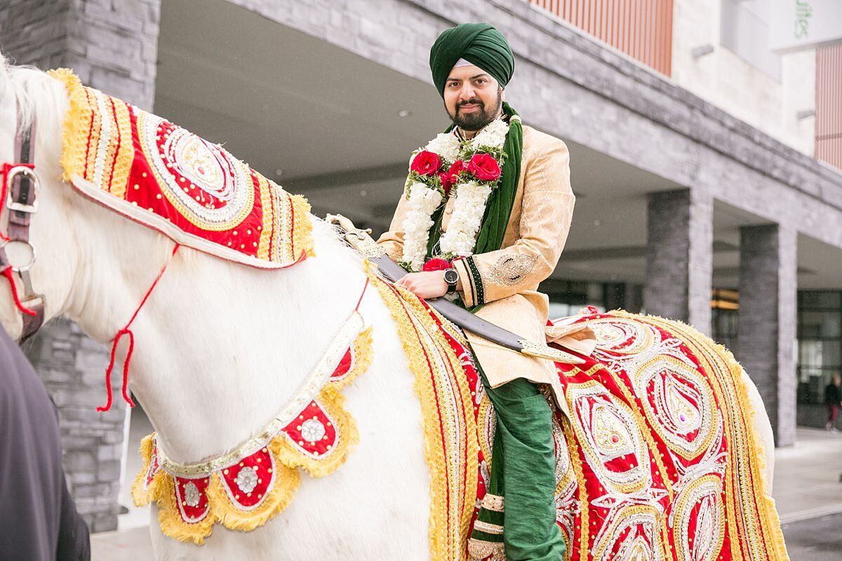 Indian groom arrives at his baarat on a white horse that is dressed in red and gold attire. The Sheikh groom is wearing a green turban and gold sherwani with a white and red varmala garland.